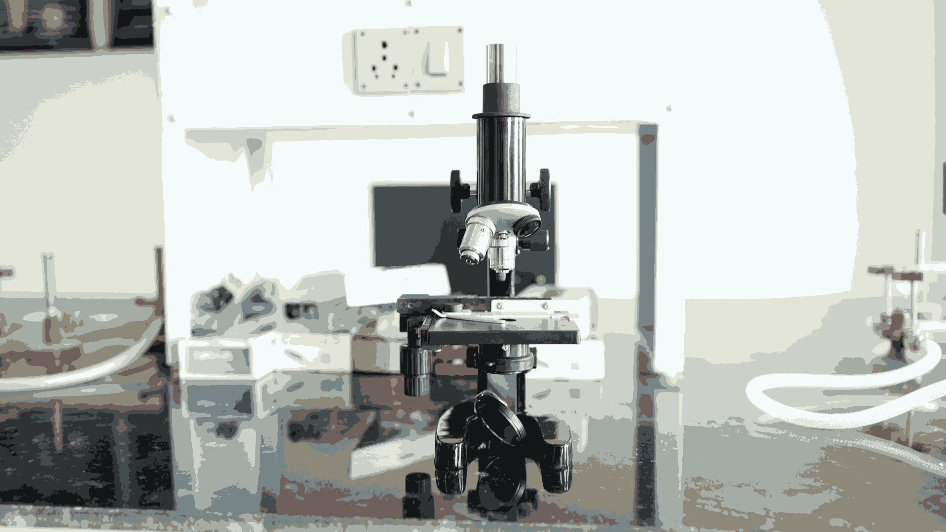 Pragjyotishpur University Guwahati Pharmacology lab photo 5